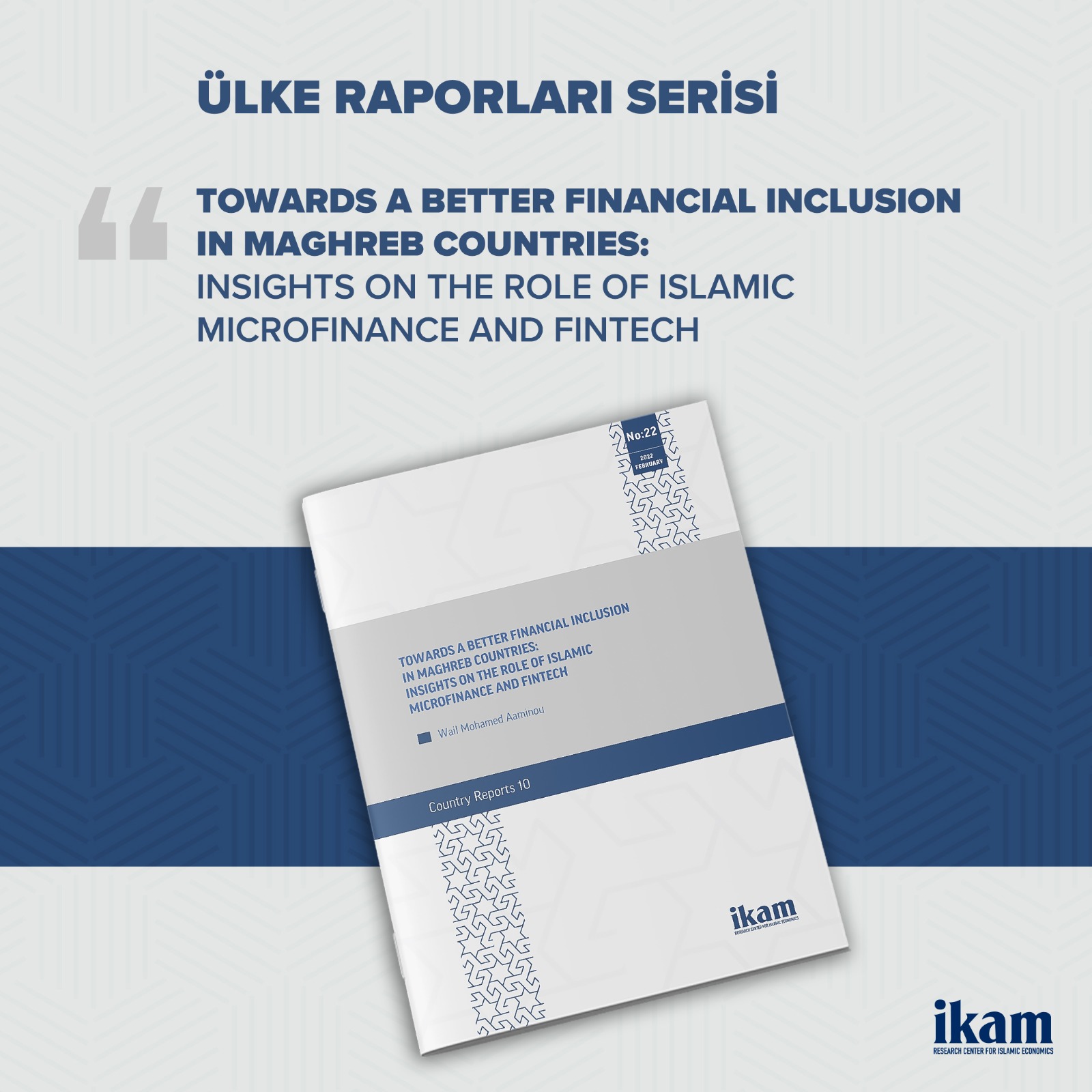 Towards a Better Financial Inclusion in Maghreb Countries: Insights on the Role of Islamic Microfinance and Fintech kapağı