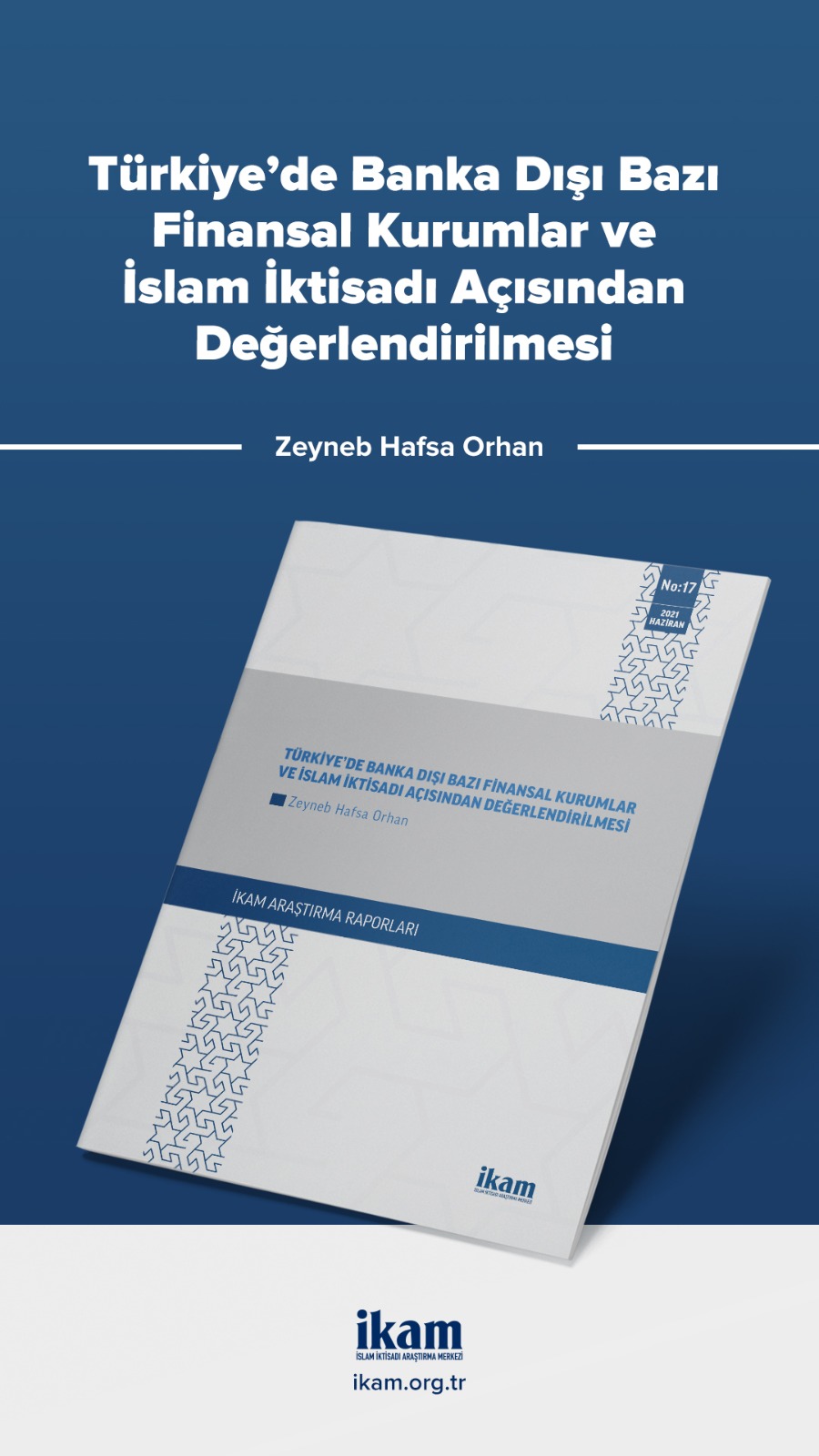 Türkiye'de Banka Dışı Bazı Finansal Kurumlar ve İslam İktisadı Açısından Değerlendirilmesi kapağı