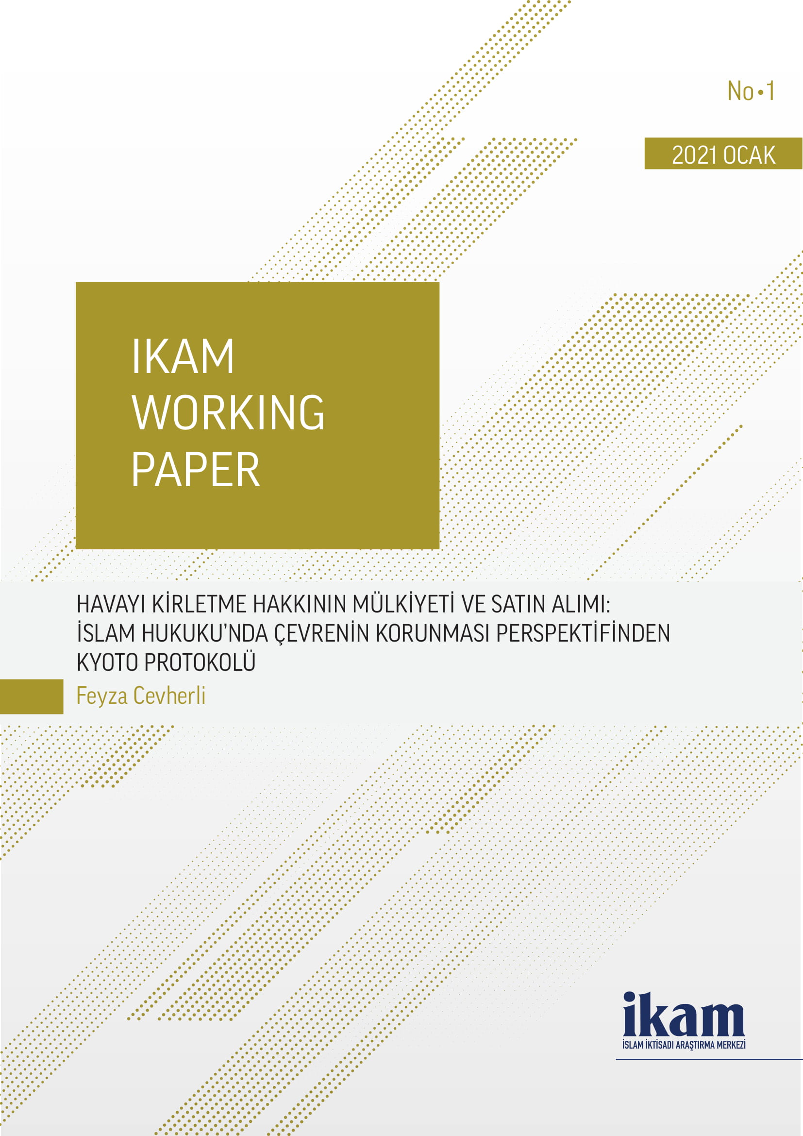 Havayı Kirletme Hakkının Mülkiyeti ve Satın Alımı kapağı