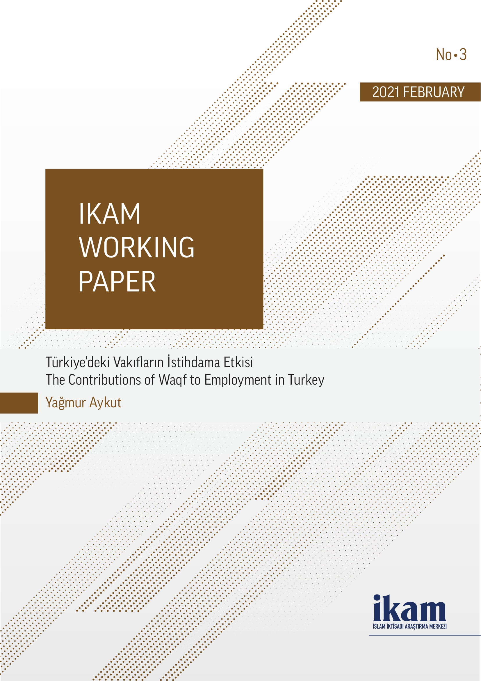 Türkiye'deki Vakıfların İstihdama Etkisi kapağı